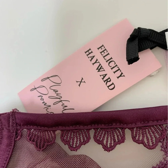 NWT Playful Promises Felicity Hayward Astrid Lace And Trim Brief Merlot Size 22 - Picture 5 of 5